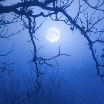 Blue Moon