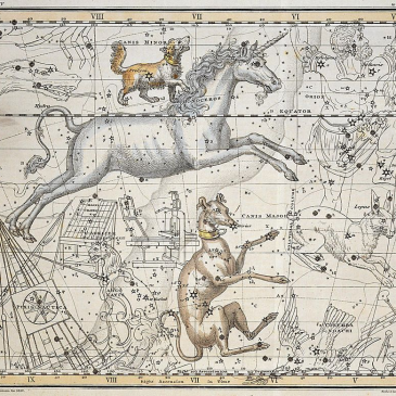 When the Light Left Procyon